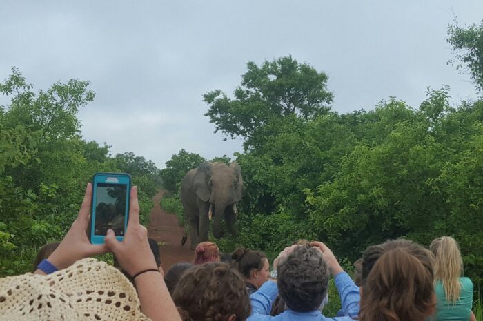 20160813-075123-largejpg