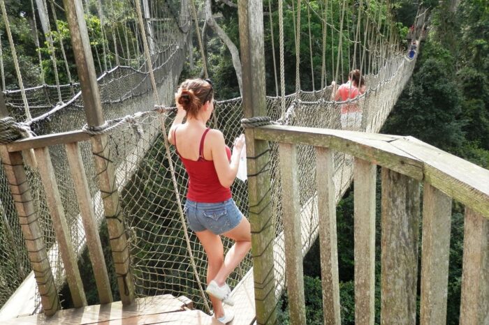 a-day-trip-at-the-kakum