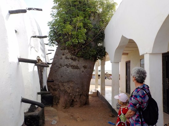 cote-mosquee-des-femmes