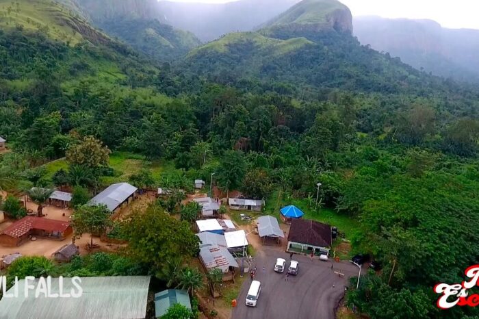 here-s-a-view-of-a-section