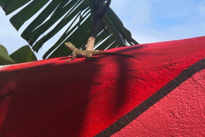 kokrobite-garden-resort