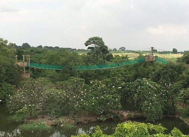 legon-botanical-gardens