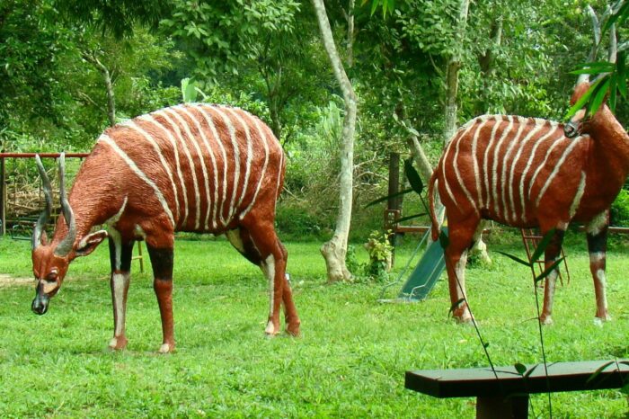 live-size-animal-at-the