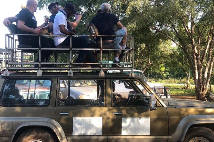 mole-national-park-experience