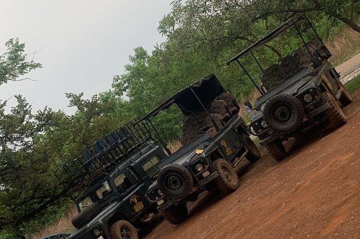 mole-national-park-is