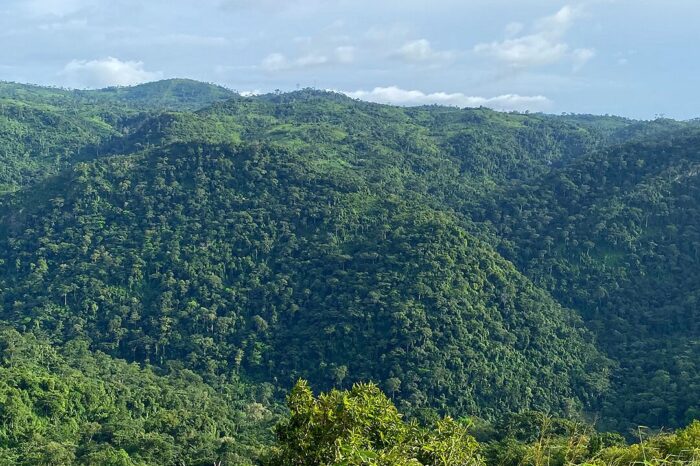 mont-afadja-vu-du-sommet