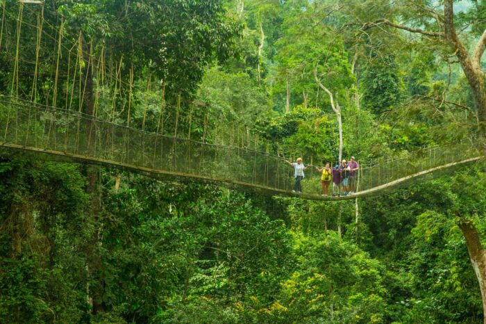 one-of-the-walkways-not