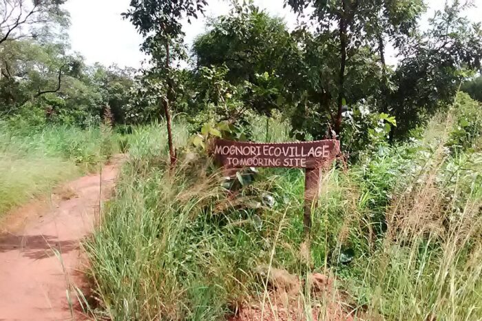 path-from-ecovillage