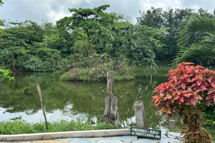 photo_2024-10-27_21-37-31