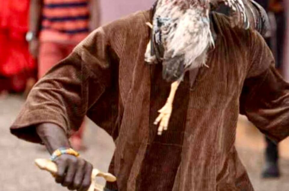 photo_2024-11-30_03-30-50