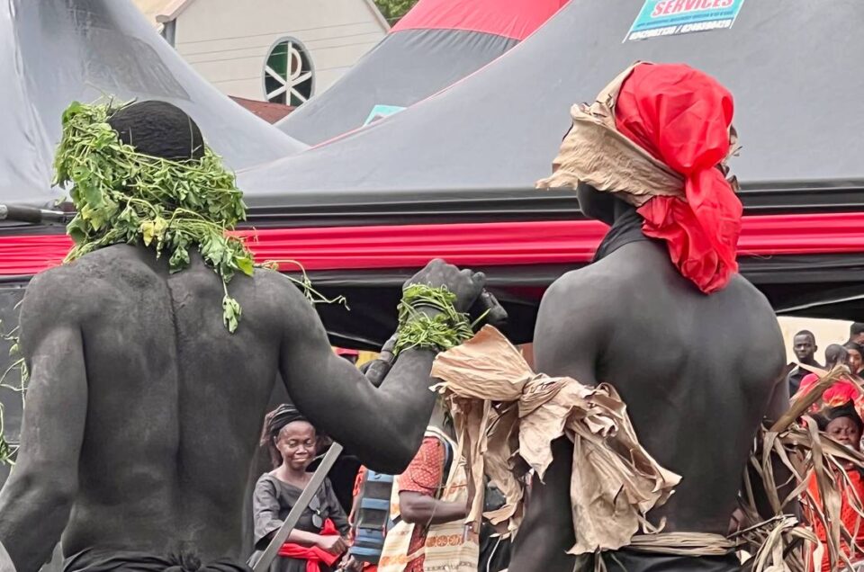 photo_2024-11-30_03-31-12