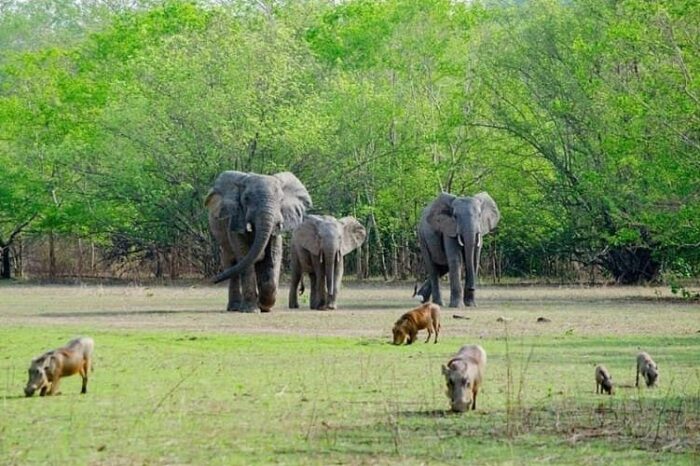 safari-guided-tours-at (3)