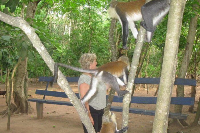 tafi-atome-monkey-sanctuary (7)