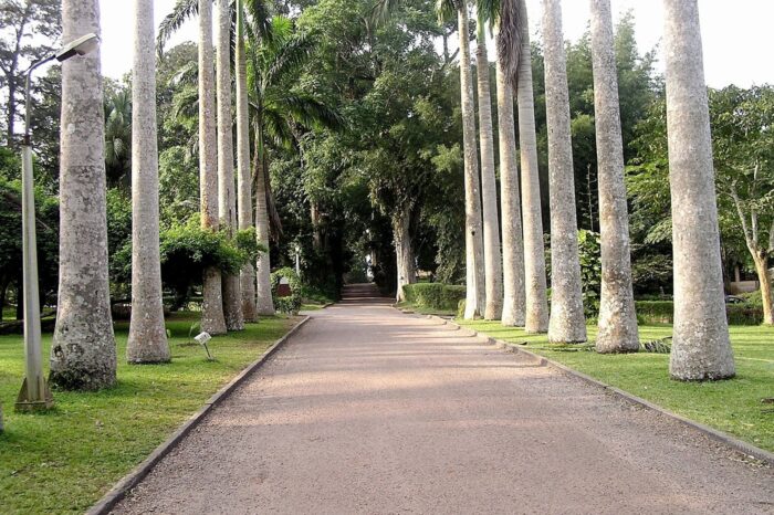 the-amazing-entrance