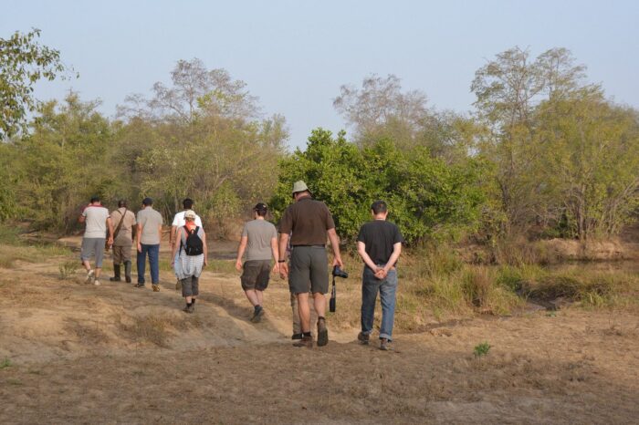 trotten-durch-den-busch